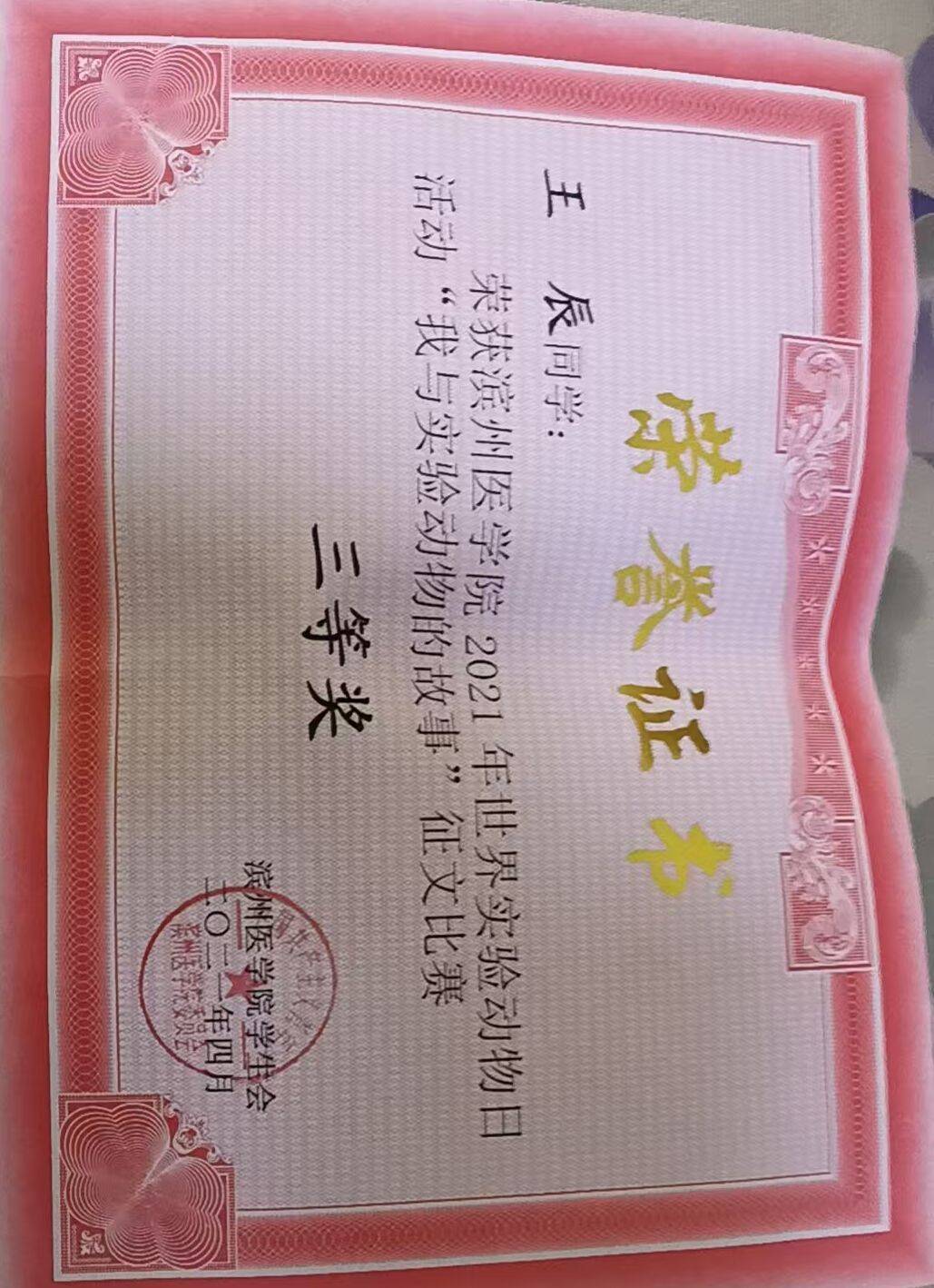征文比赛三等奖
