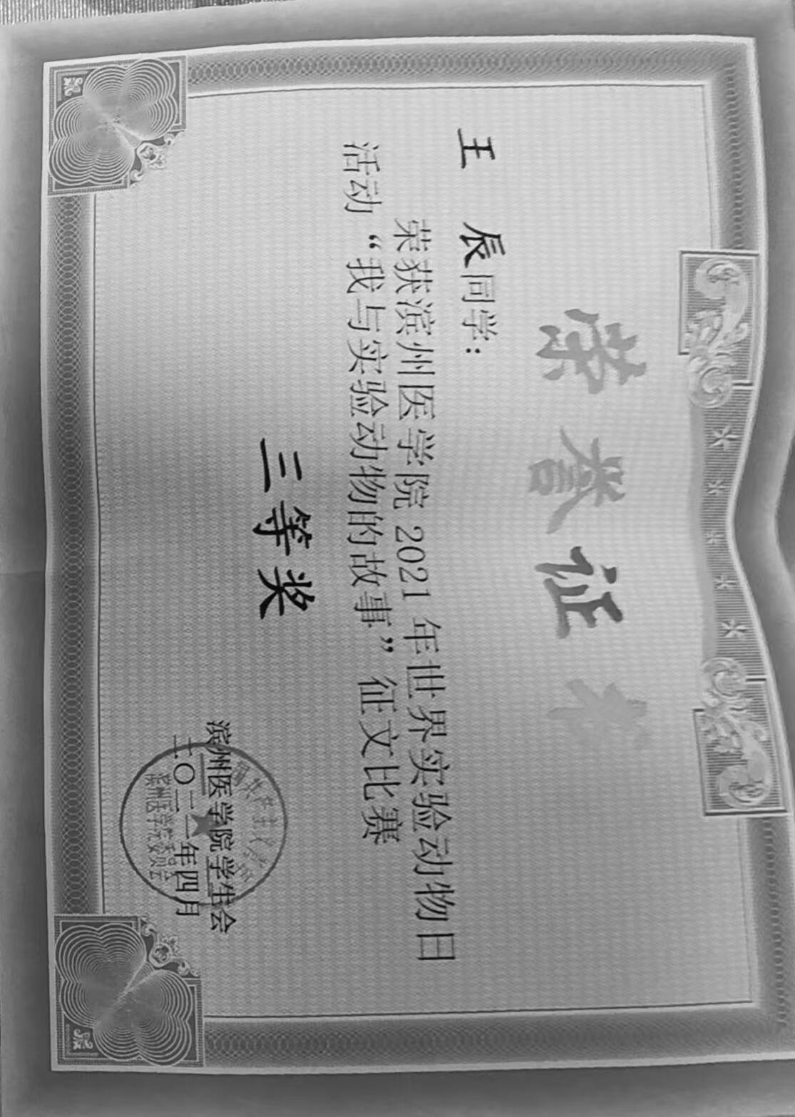 征文比赛三等奖2